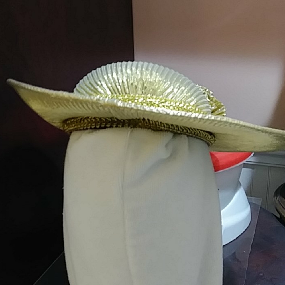 Fancy hat - Picture 3 of 4